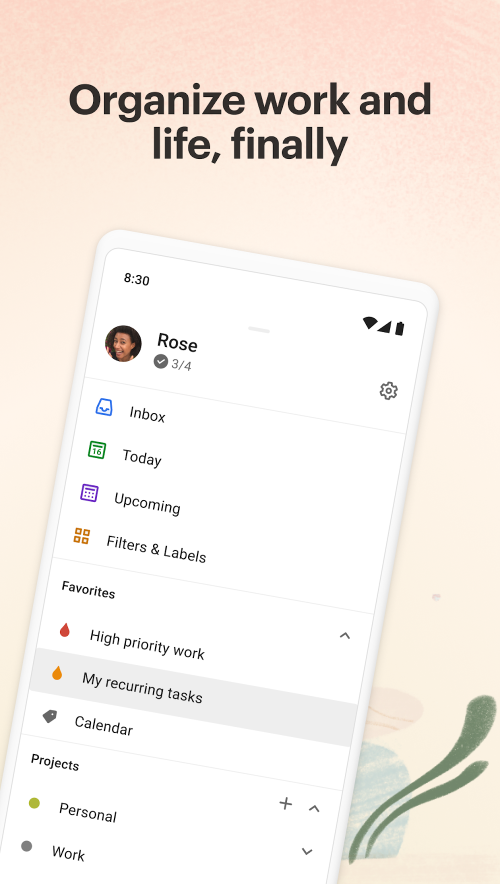 Todoist Screenshot 1